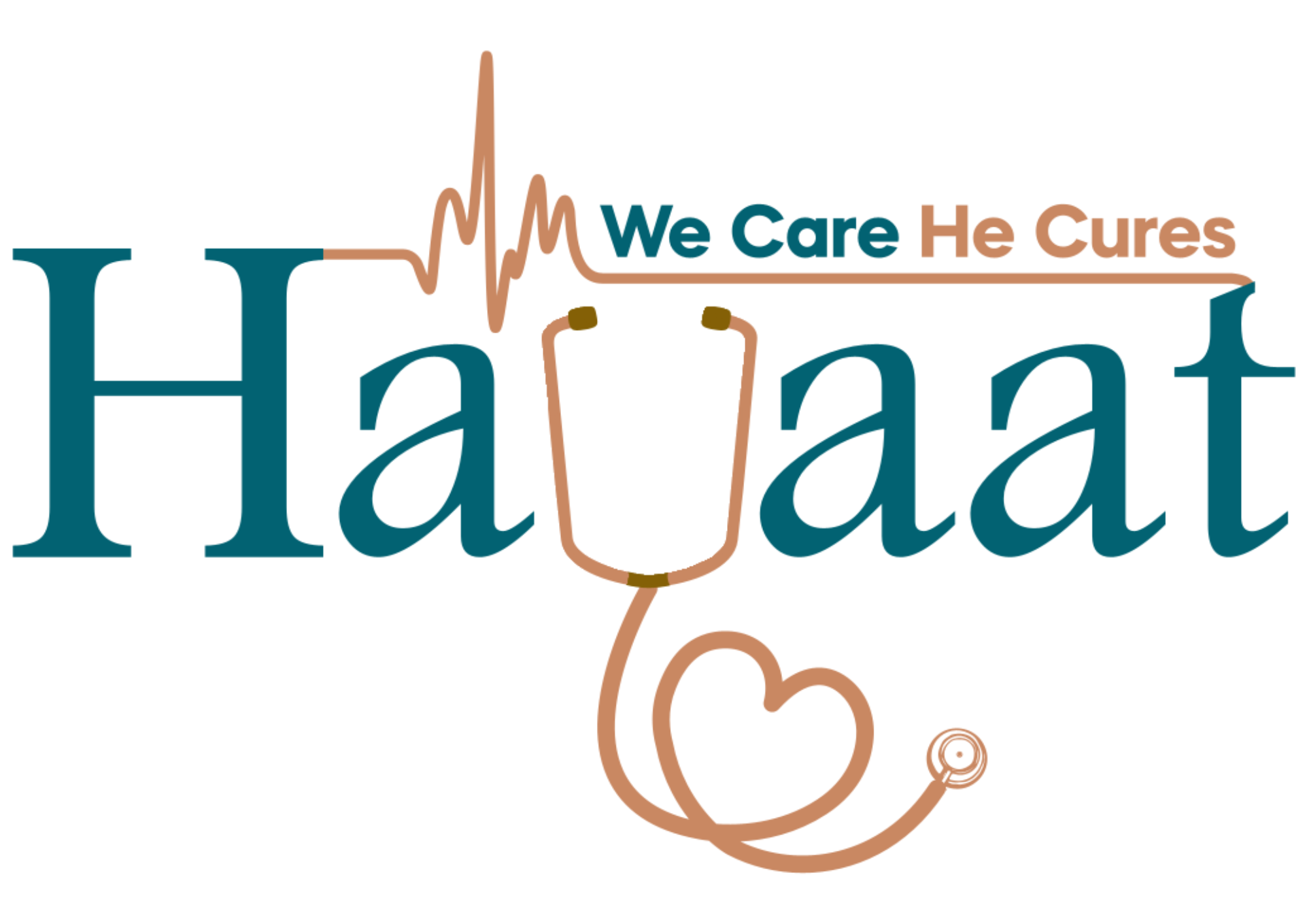 cropped-Hayaat-logo.pdf-1.png